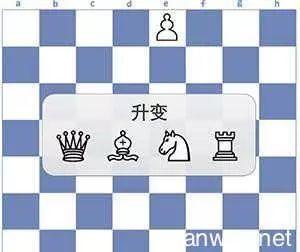 如何快速学会国际象棋？史上最详细国际象棋入门秘籍赶紧收藏
